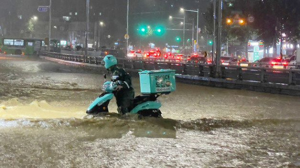 배달원 퓰리처상 모음.........